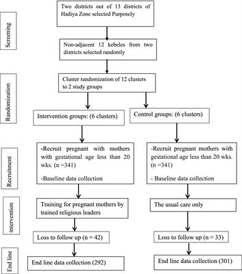 Effectiveness of engaging religious leaders in maternal health education for improving maternal health service utilization in Ethiopia: cluster randomized controlled trial